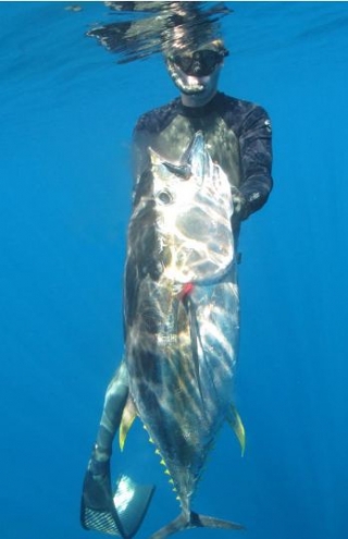  Pesca e snorkeling